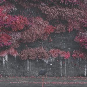 Sleep Token – Even in Arcadia LP lapis lazuli