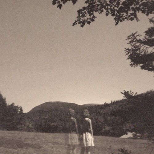 Goldmund – The Malady Of Elegance LP