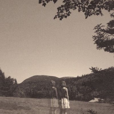 Goldmund – The Malady Of Elegance LP