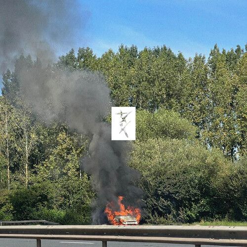 EDEN – Dark LP clear green