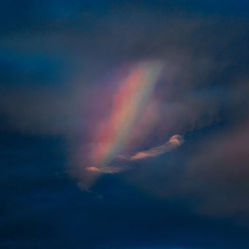 Pool Kids – Pool Kids LP orange