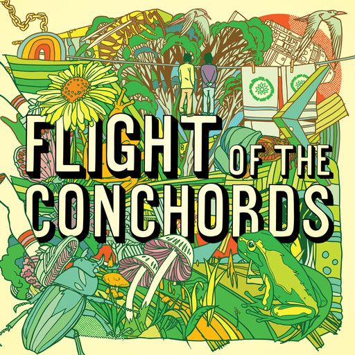 Flight of the Conchords ‎– Flight of the Conchords LP green