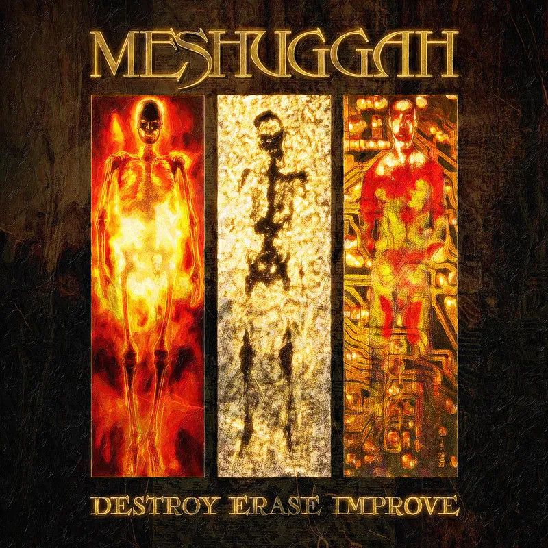 Meshugga -- Destroy Erase Improve LP 30th anniversary edition