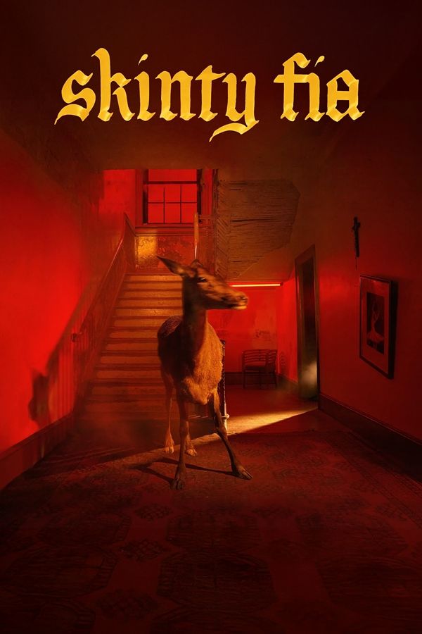 Fontaines DC - Skinty Fa poster