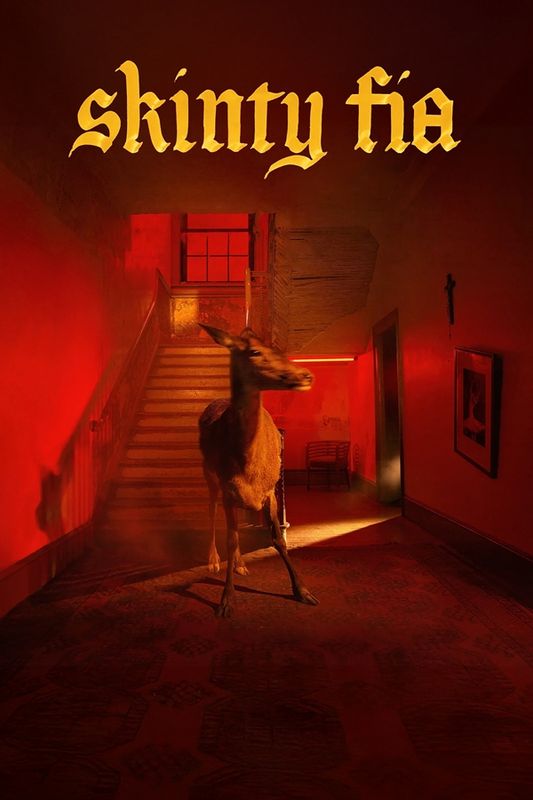 Fontaines DC - Skinty Fa poster