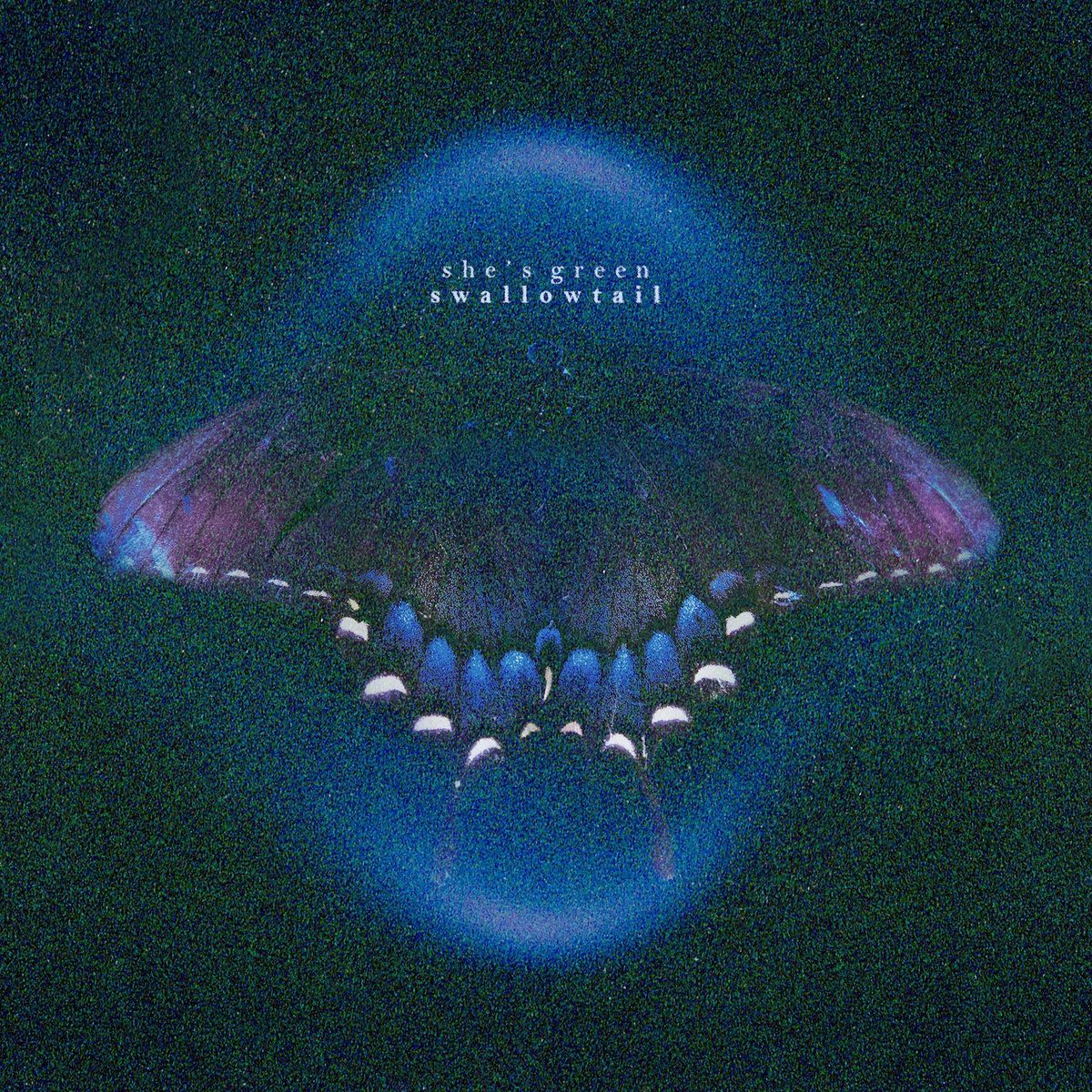 she's green – swallowtail / chrysalis 12" vinyl white