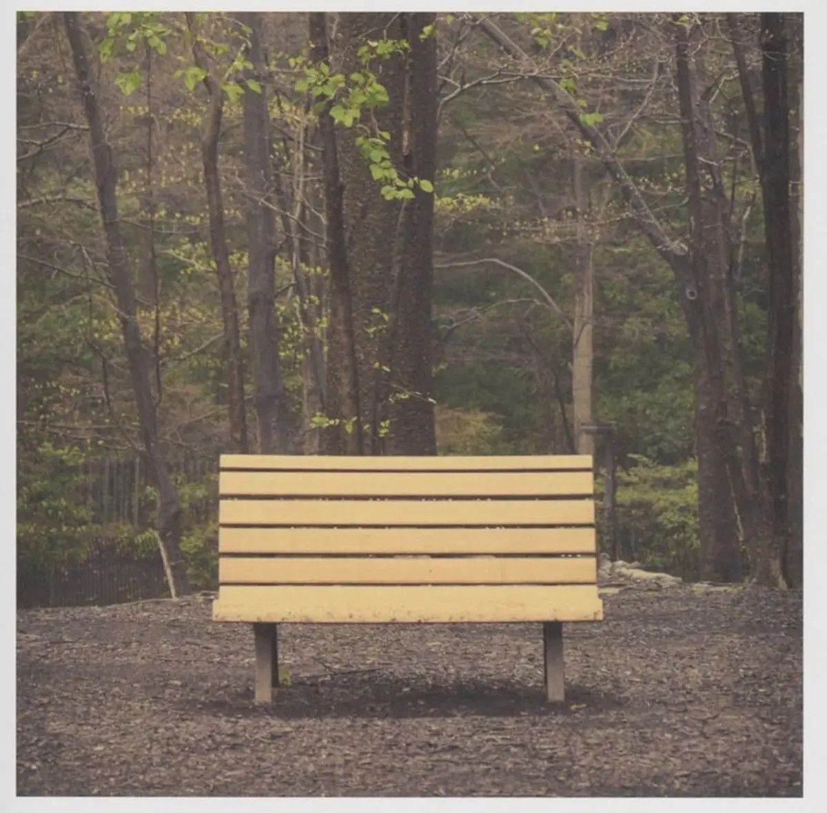 Streetlight Manifesto – The Hands That Thieve LP red