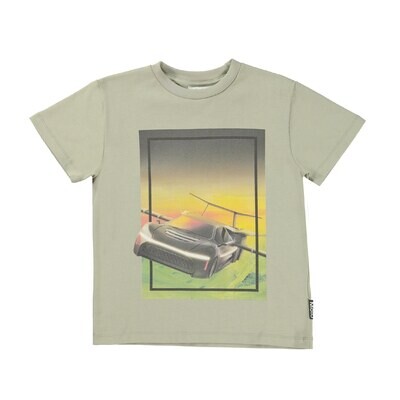 Roxo Tee Fly Car