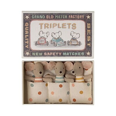 Triplets, Baby Mice in Box