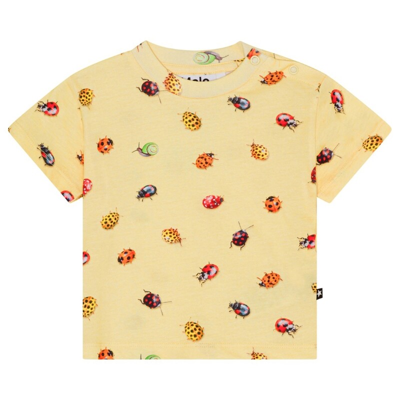  Enzo SS Baby Tee Coccinella