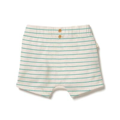 Organic Shorts Petit Green Stripe 