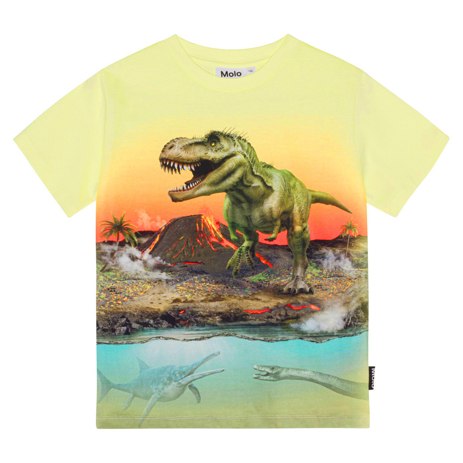 Riley Short Sleeve Tee Volcano Dino