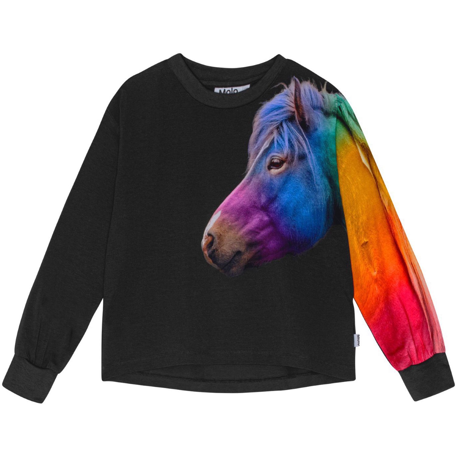 Reniza LS Top Rainbow Friend
