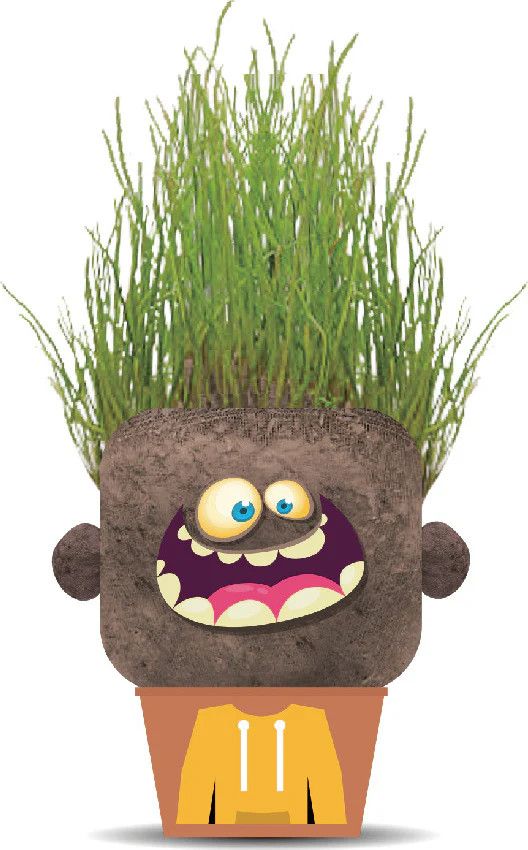 Plant Pals Monsters Happy Hank