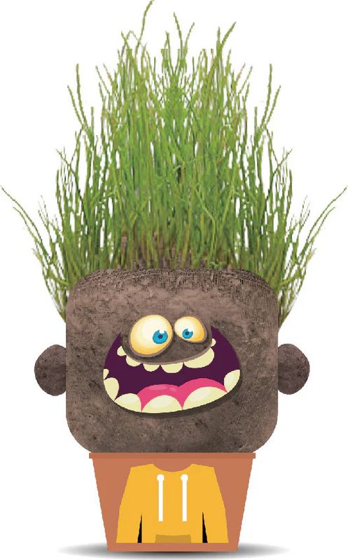 Plant Pals Monsters Happy Hank