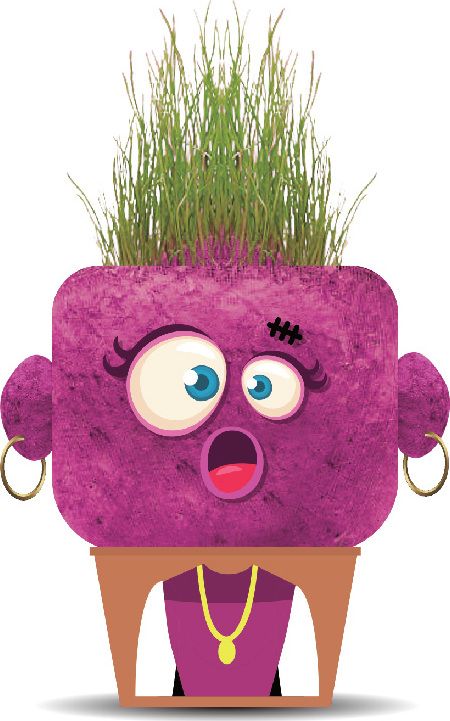 Plant Pals Monsters Surprised Sandra