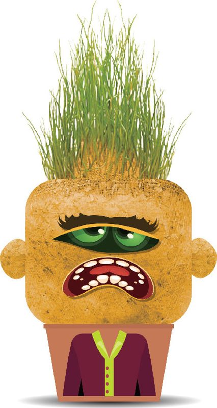 Plant Pals Monsters Moody Mary