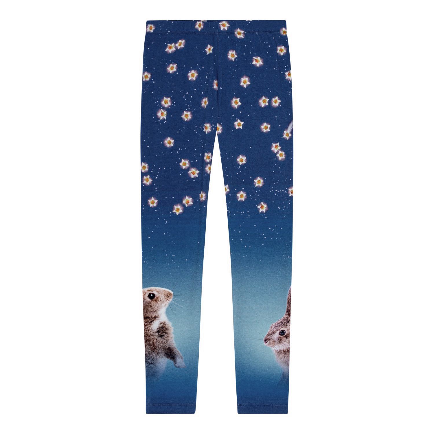 Niki Legging Shooting Stars