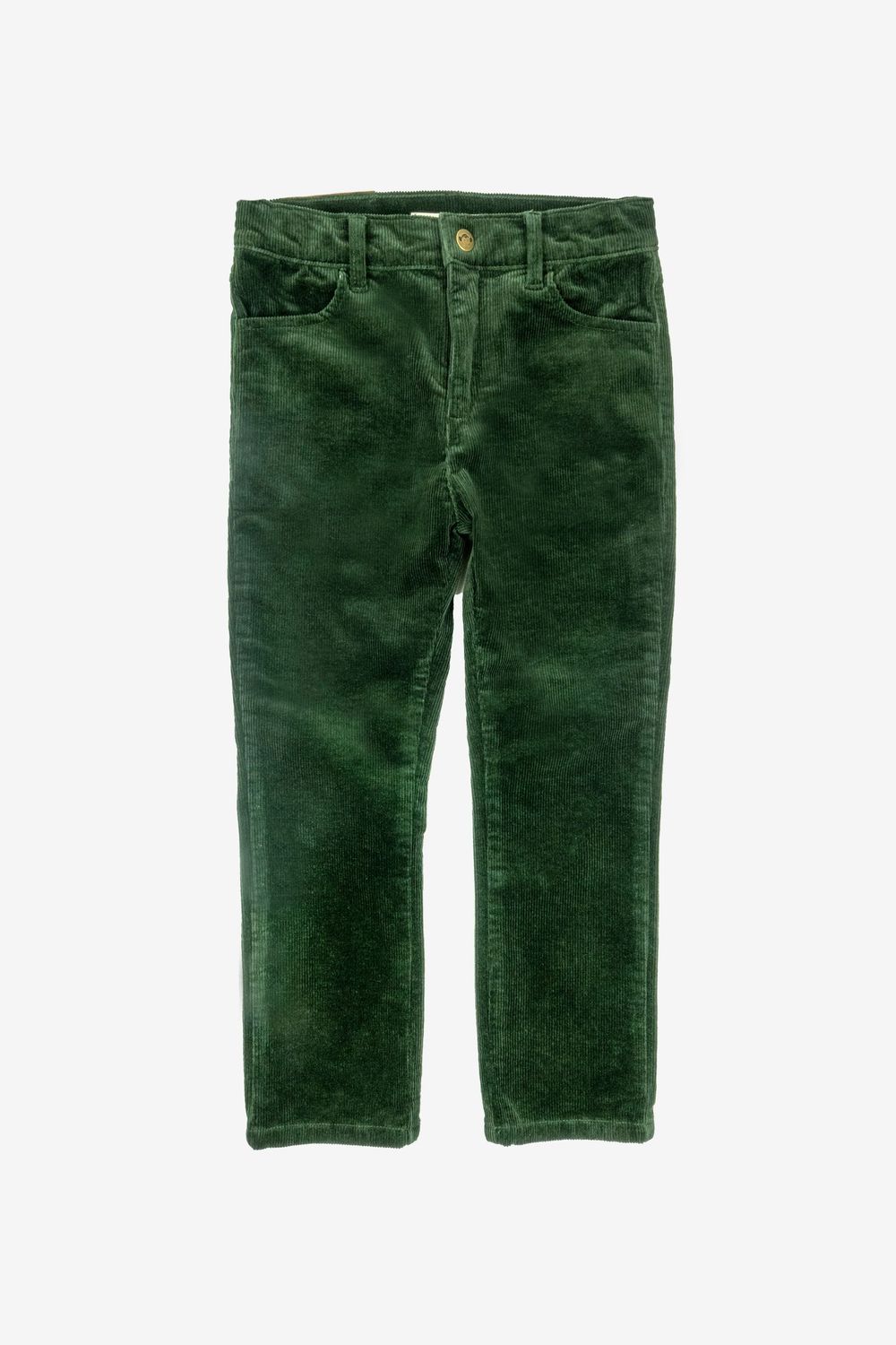 Skinny Cords Forest Night