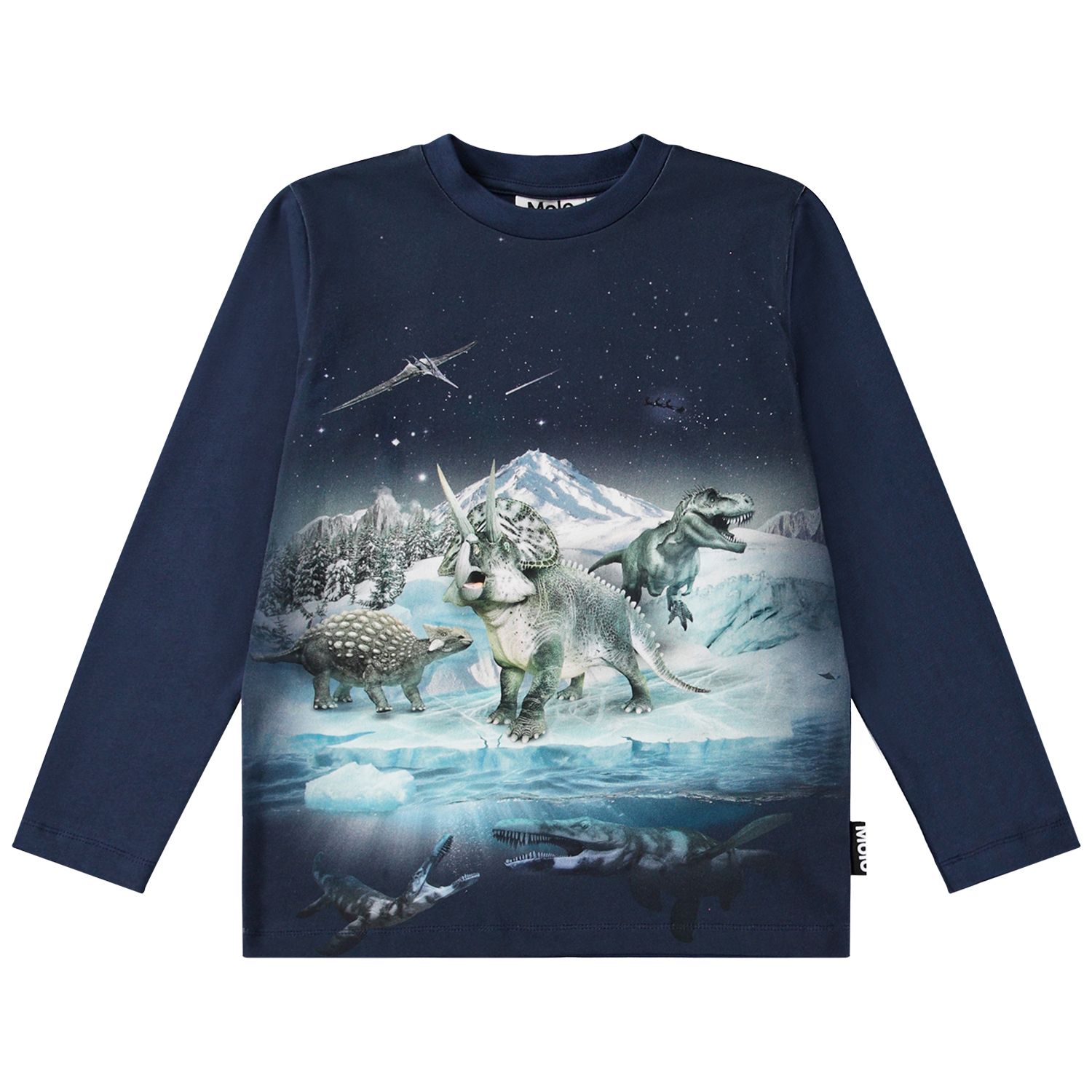 Reif LS Tee Dino Night