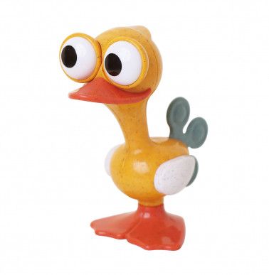 Crazy-Eyed Bird