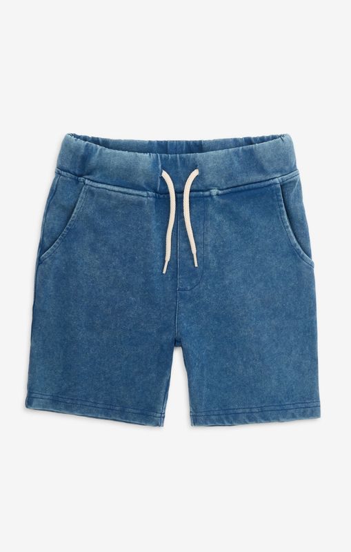 Preston Shorts Sunwashed Blue