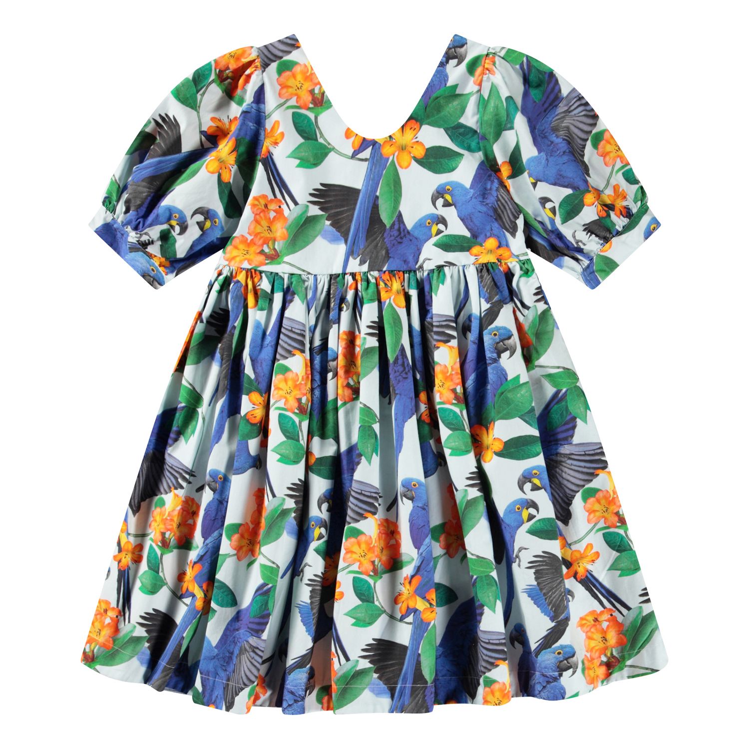 Camilo Dress Macaws Blue
