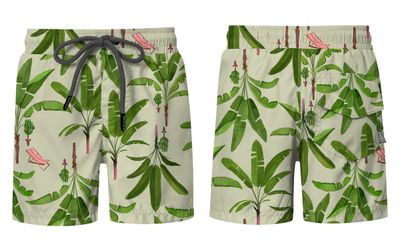 Platanal Verde Swim Shorts