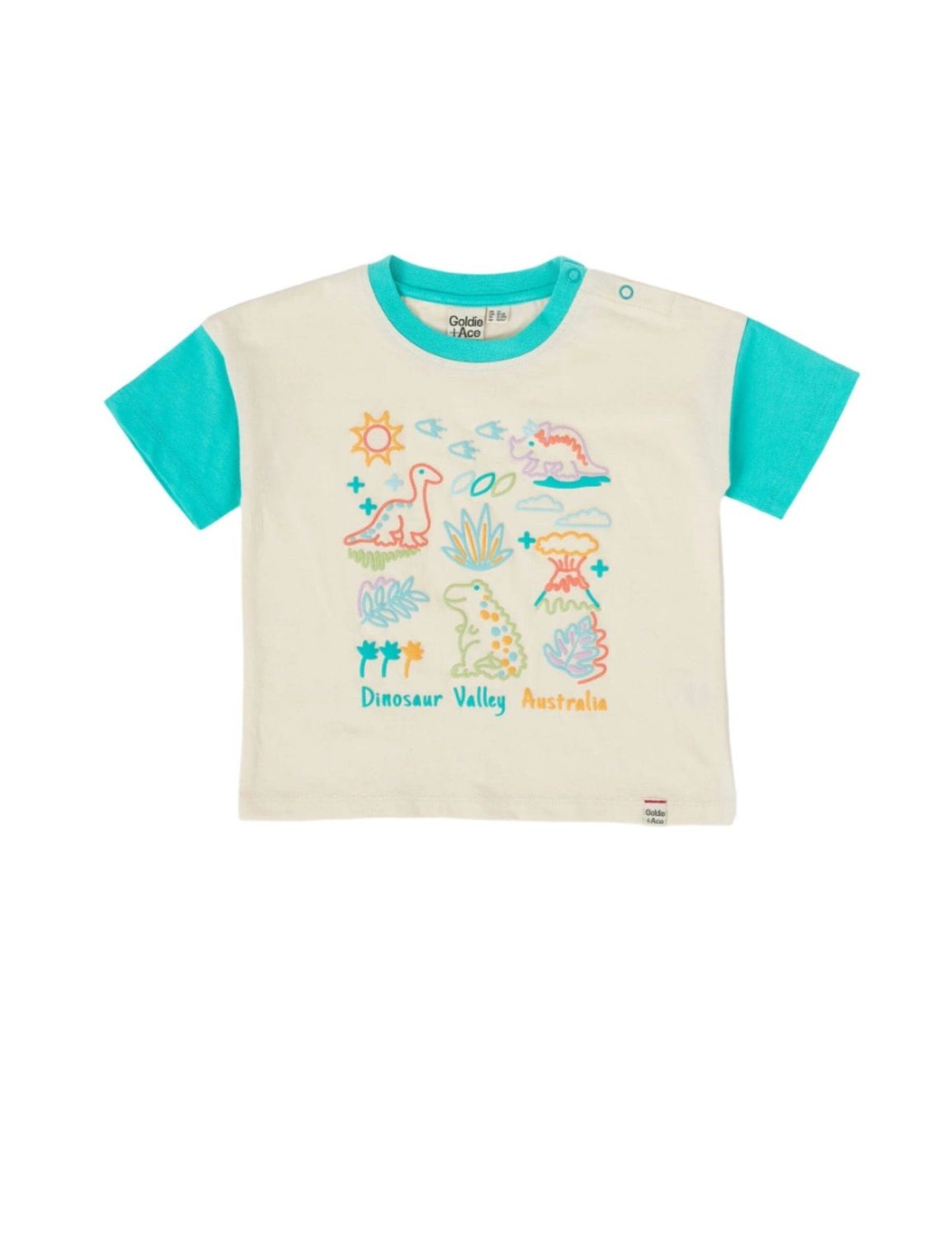 Dinosaur Valley Puff Print T Shirt