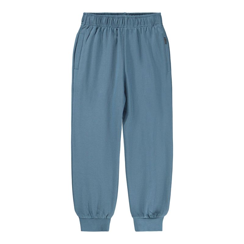 Adani Pants Blue Dust