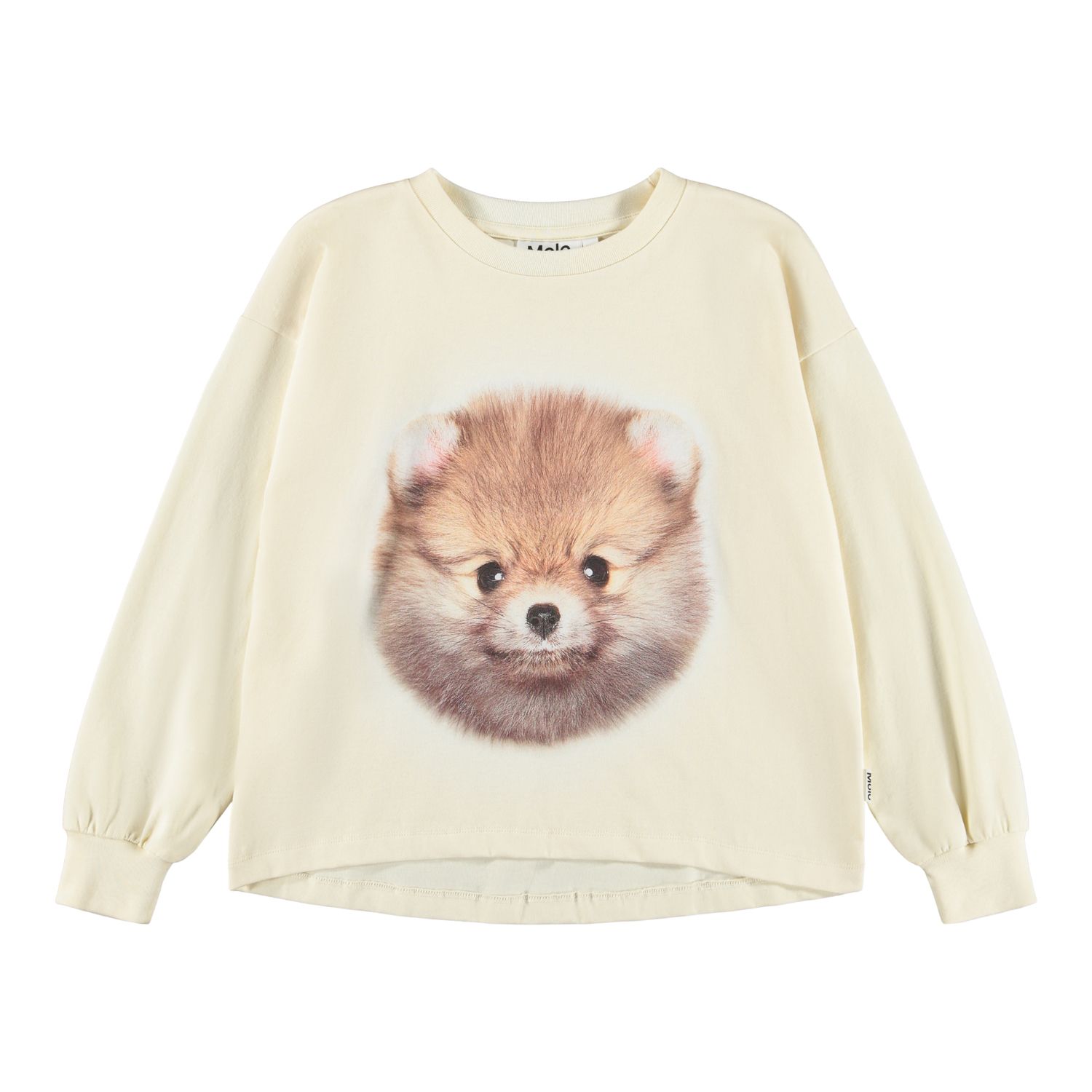 Reniza LS Top POM POMeranian