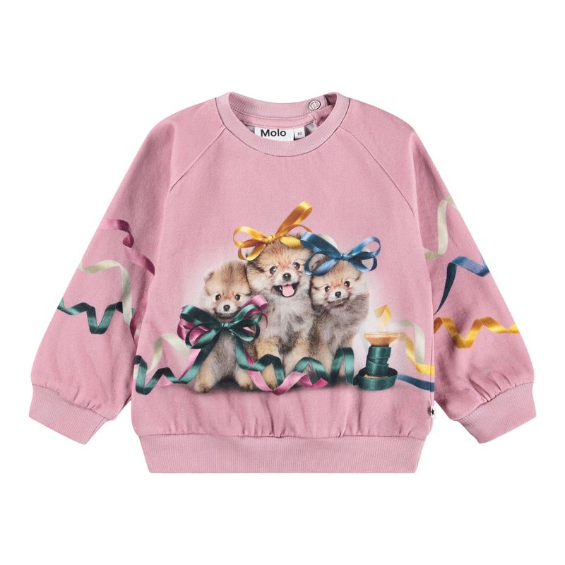 Disc Sweatshirt Ribbon Play