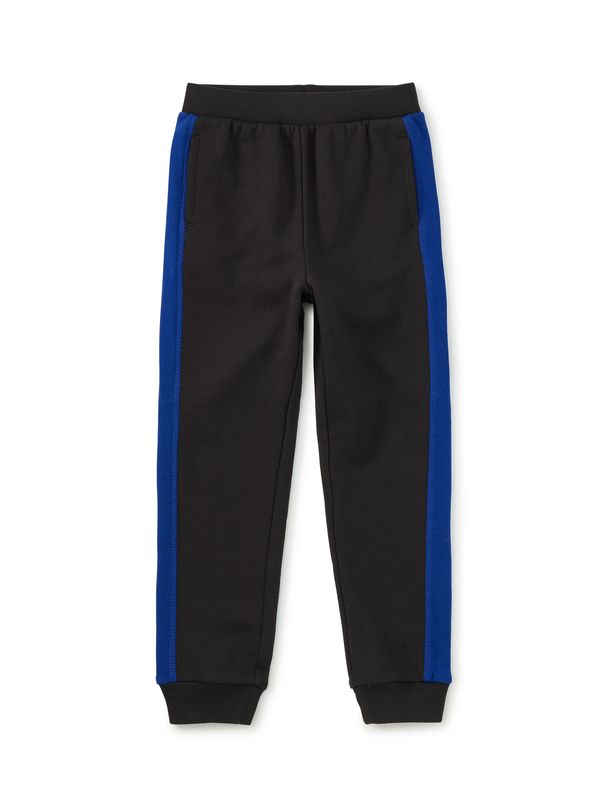 Colorblock Stripe-Out Joggers Jet Black