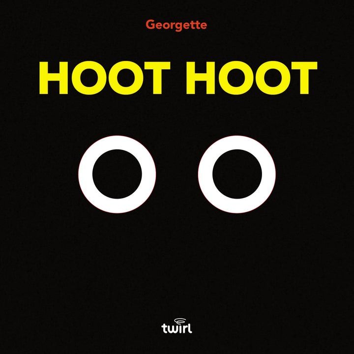 Hoot Hoot Board Book