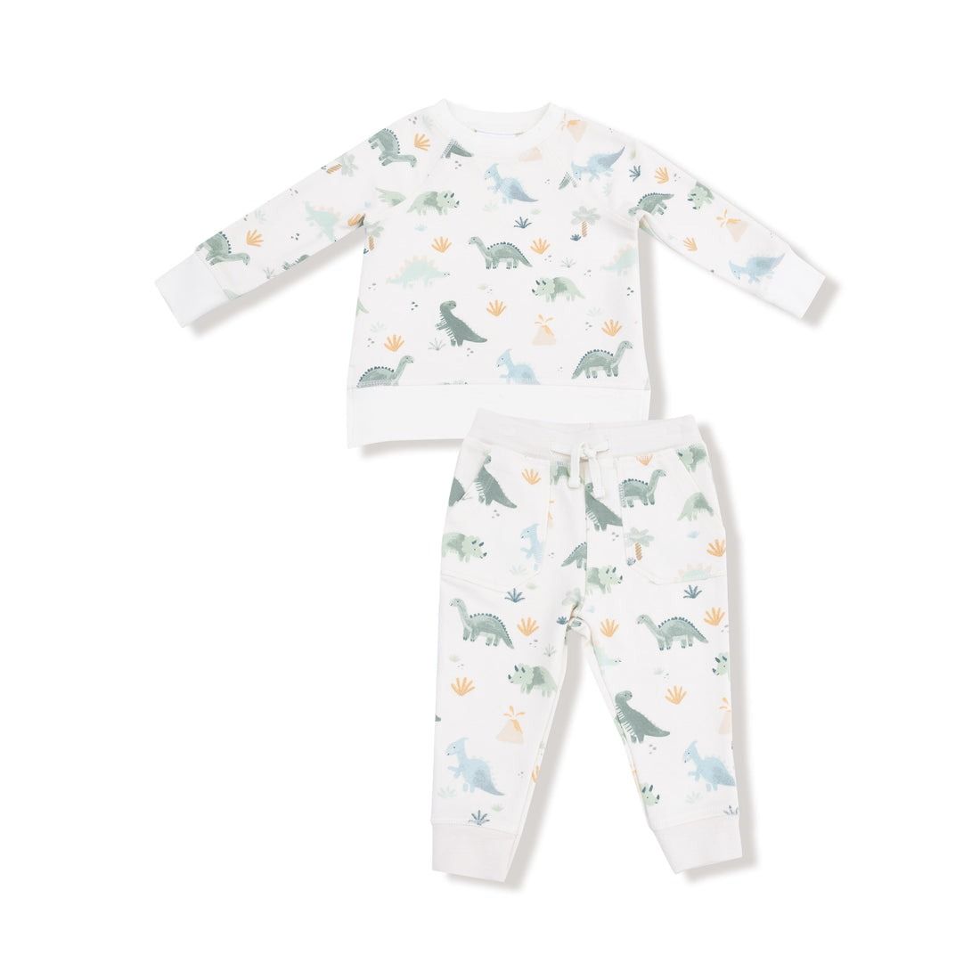 Soft Dinos French Terry Green Raglan Sweatshirt + Jogger Set