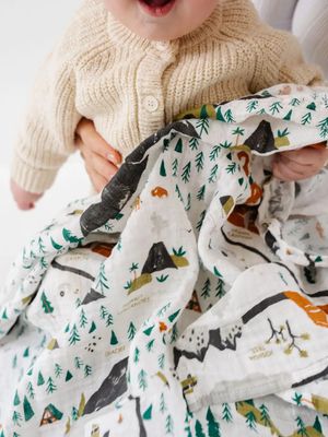 National Parks Swaddle Blanket - Mini Pattern
