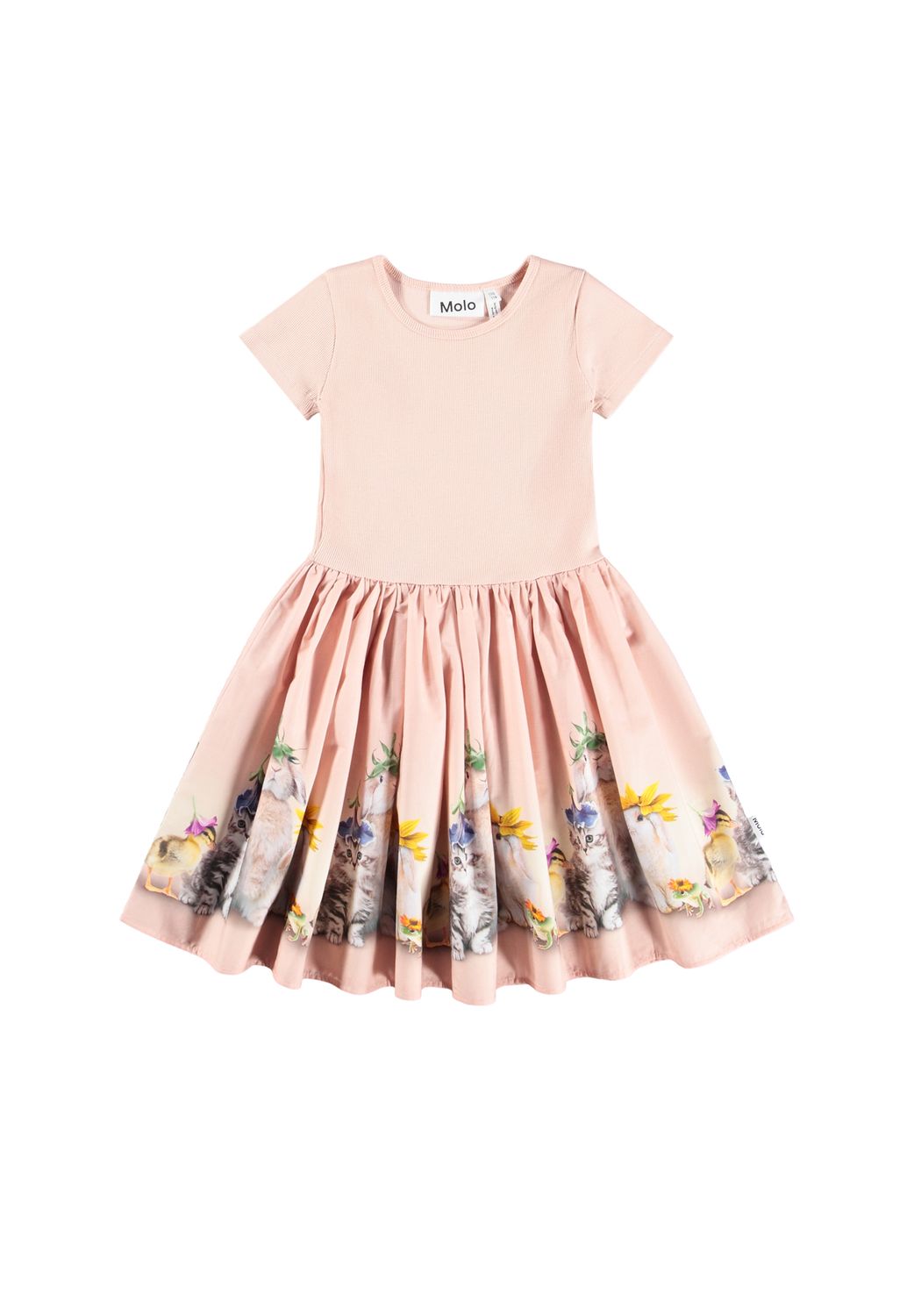 Cissa Dress Photobooth