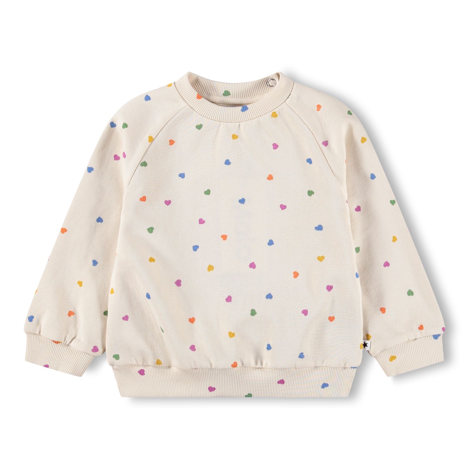 Disc Sweatshirt Confetti Rainbow