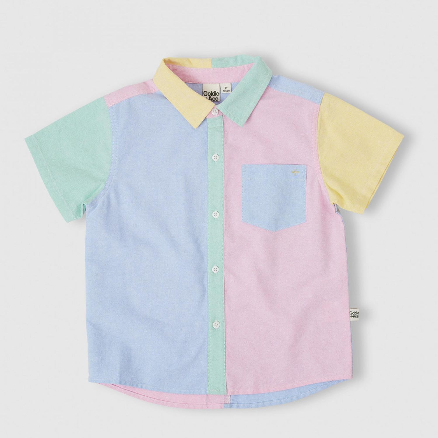 Color Block Oxford Holiday Shirt