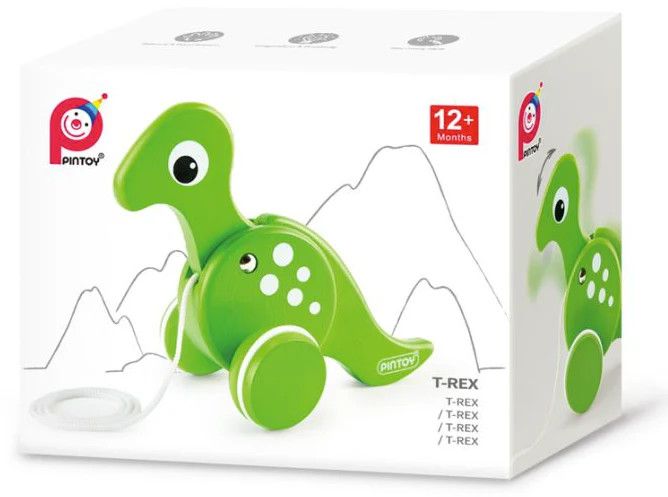Pin Toys T-Rex Pull Toy