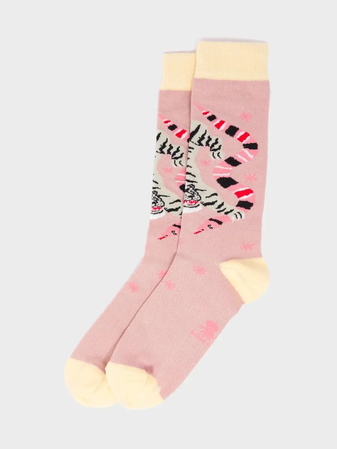 Pink Socks - Creatures of the Future