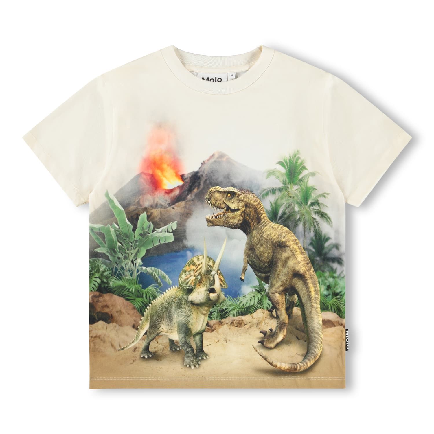 Riley SS Tee Hot Spring Dinos