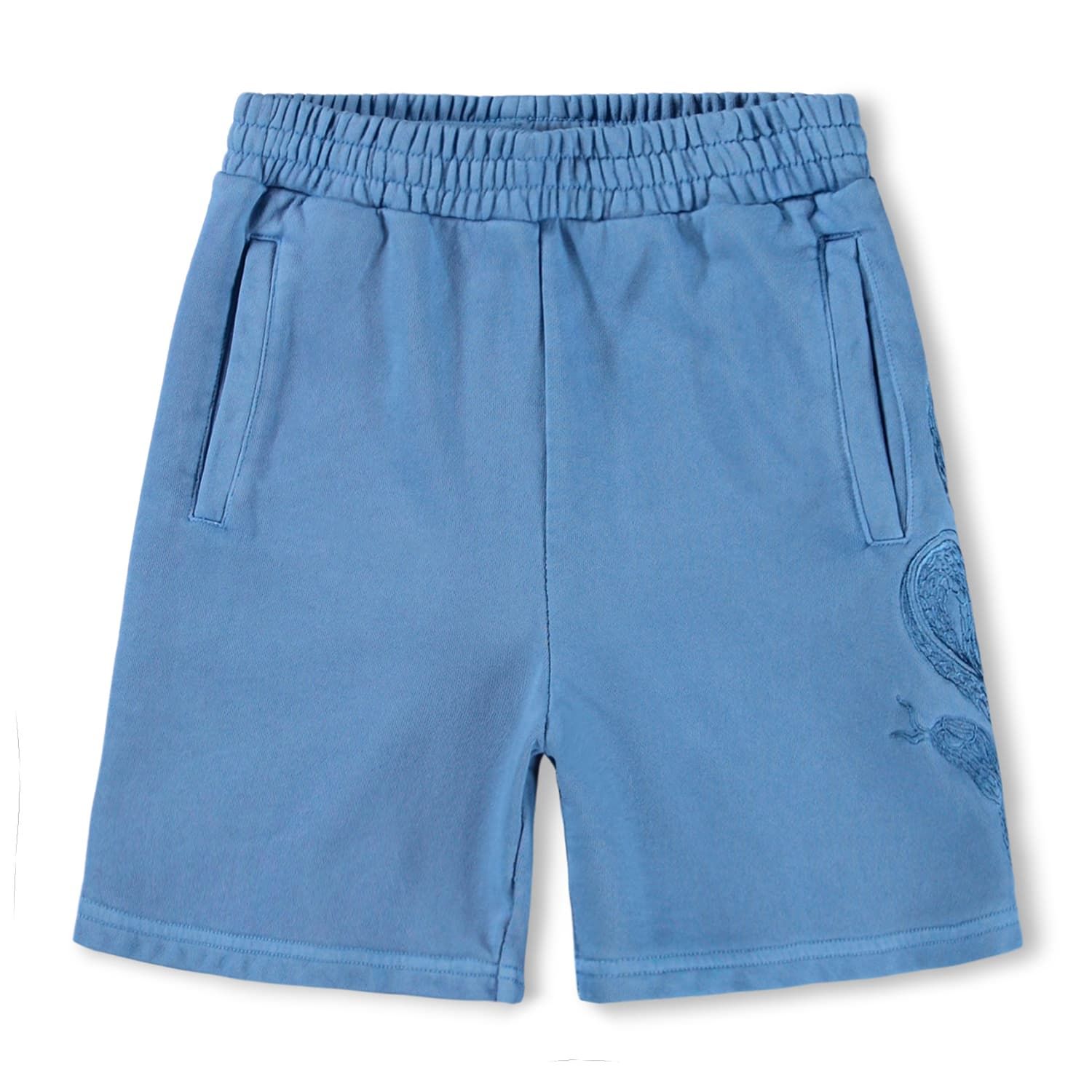Ador Shorts Swell Blue