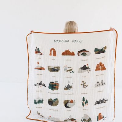 National Parks Quilt 2