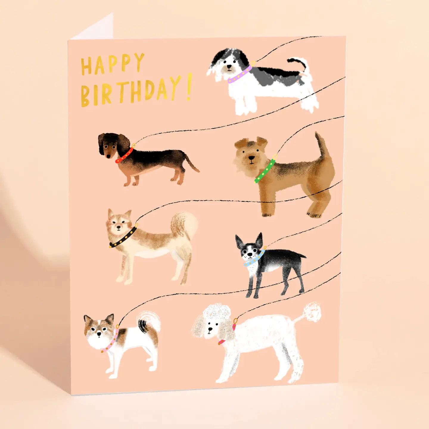 Out For A Walk 2020  Birthday Card