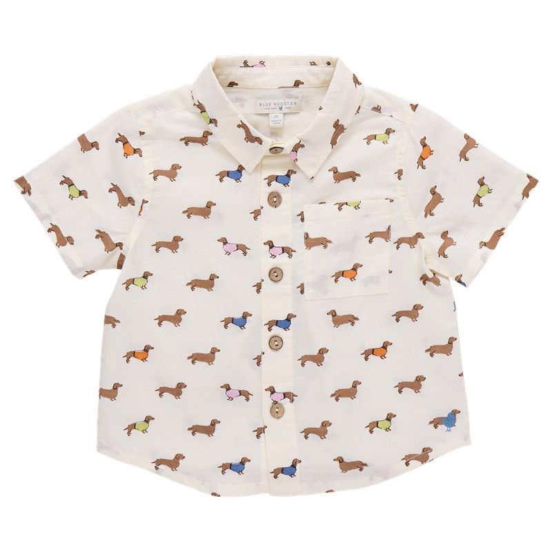 Jack Shirt Dachshunds in Sweaters