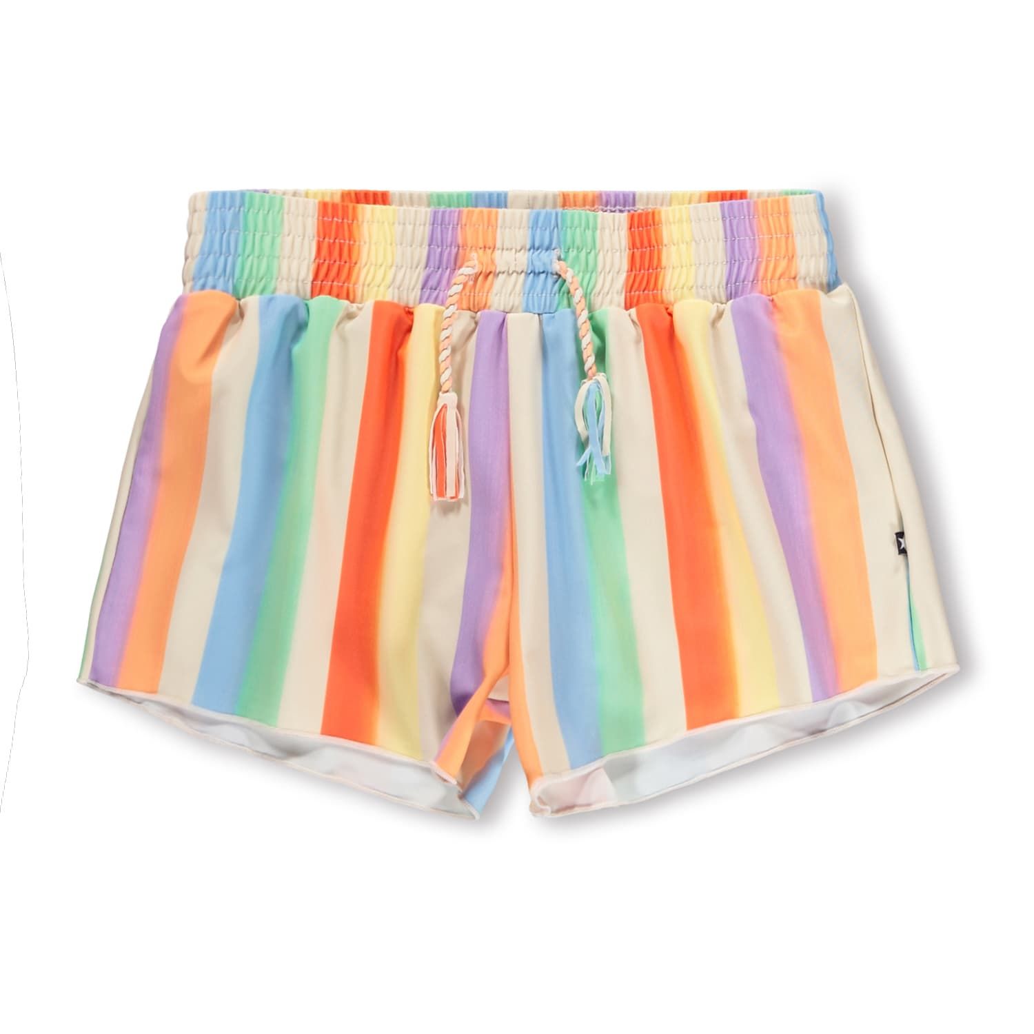 Nicci Swim Shorts Rainbow Paint