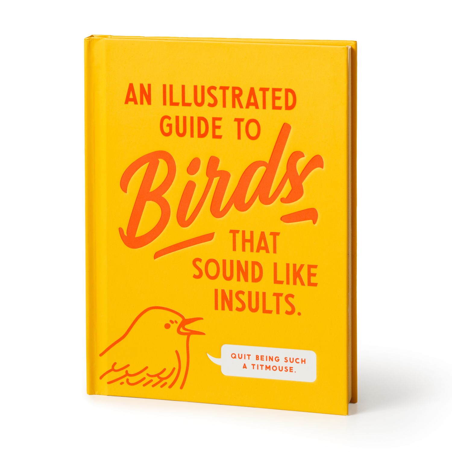 Illustrated Guide To Birds That Sounds Like Insults