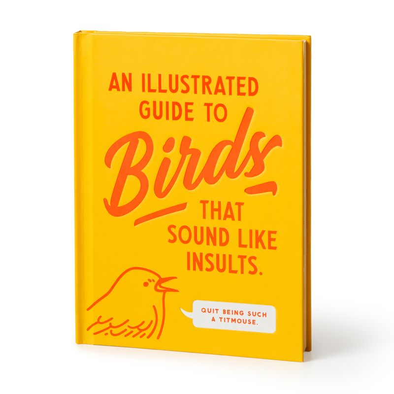 Illustrated Guide To Birds That Sounds Like Insults