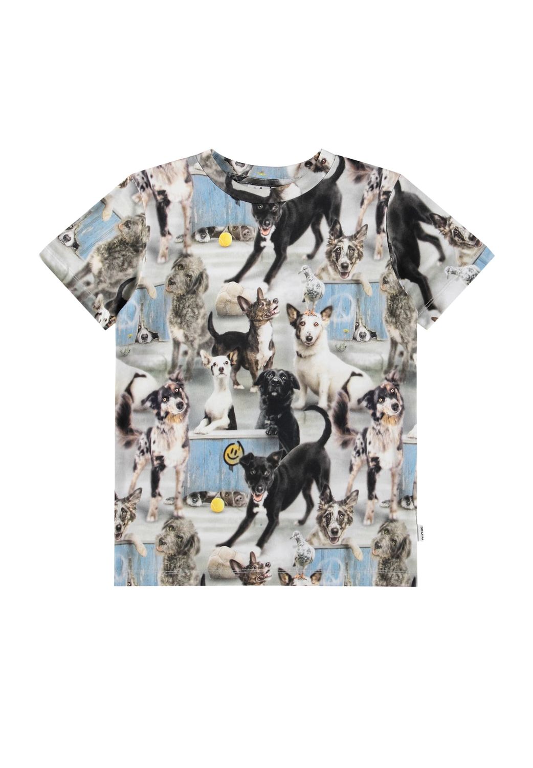 Ralphie SS Tee Curious Dogs